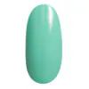 Gel Polish geellakk 309V (12ml)
