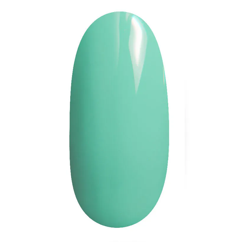 Gel Polish geellakk 309V (12ml)