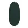 Gel Polish geellakk 793C (12ml)